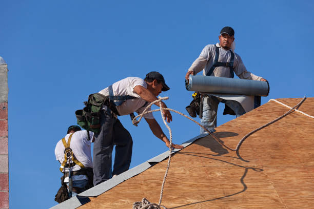 Best Roof Gutter Cleaning  in Bellingham, WA