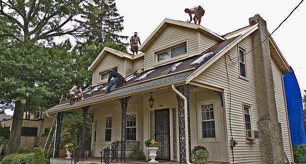 Quick and Trustworthy Emergency Roof Repair Services in Bellingham, WA