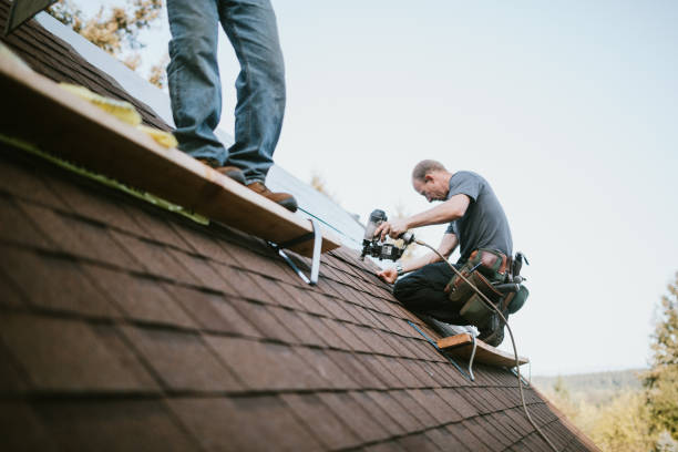 Best Metal Roofing Contractor  in Bellingham, WA